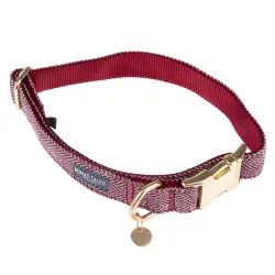 Collar Nomad Tales Calma burdeos para perros - L: 39 - 64 cm contorno de cuello, 25 mm de ancho