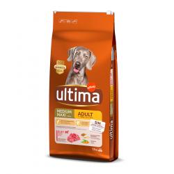 Affinity Ultima Adult Medium/Maxi Buey pienso para perros