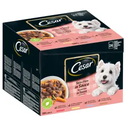 Cesar Favoritos en salsa - 24 x 100 g