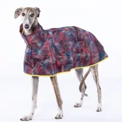 Chubasquero capa para galgos Groc Groc Aldo Roin