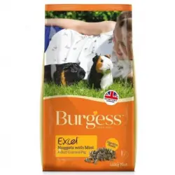 Burgess Excel Alimento Para Cobayas Con Menta - 10kg