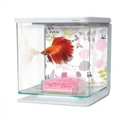 Marina Betta Kit - Floral