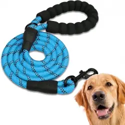 Edipets correa de adiestramiento con mango acolchado azul para perros