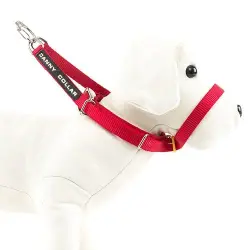 Canny Collar de Adiestramiento Rojo para perros