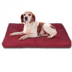 HOME MERCURY- Cama de Mascota, Colchón para Perro, Colchoneta Reversible Estampada Relleno de Espuma para Interior y Exterior. (Medium, Granate)