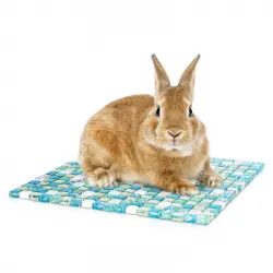 Nobleza - Alfombrilla Refrescante para Hámster, Almohadilla de Enfriamiento para Conejos, Placa De Refrigeración Para Conejito, Pequeños Animales Enfriamiento Estera Cama (30*30CM)