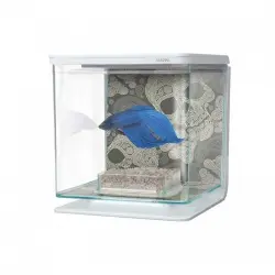 Marina betta kit acuario dibujo cráneos