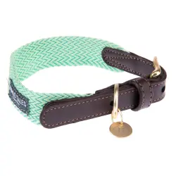 Collar Nomad Tales Bloom menta para perros - S: 36 - 40 cm de contorno de cuello, 25 mm de ancho