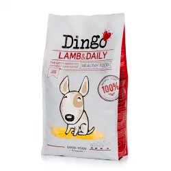 Dingo Adult Cordero pienso para perros