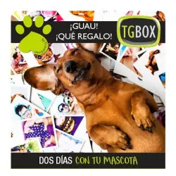 Experiencias para perros TGBOX: dos día con tu mascota