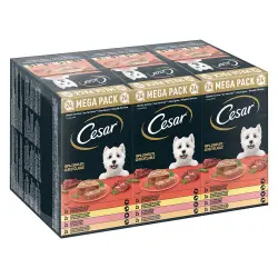 Cesar en tarrinas 24 x 150 g - Megapack - Clásicos