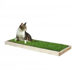 Petground, Cama para gatos, Caja de Madera, Accesorio, Mueble, Standard