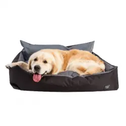 CAMA BLACK RECTANGULAR PARA PERROS