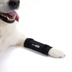 Soporte de Carpo para Perros con Artrosis, Lesiones en Ligamentos, Carpo Inestable