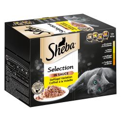 Sheba 12 x 85 g en tarrinas Multireceta - Selection en salsa