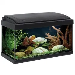 Acuario Akkua Led Pro 60