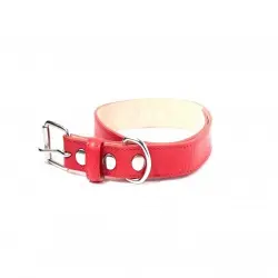 Loyal collar rocco rojo para perros