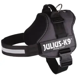 Arnés JULIUS-K9® Power antracita para perros - Talla 3