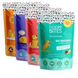 Pack galletas 100% naturales FlooppBITES sabor Variado