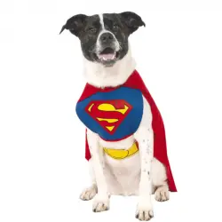 Disfraz Superman para perro