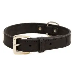 TK-Pet Namur Collar de Cuero Negro para perros