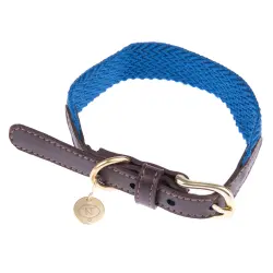 Collar Nomad Tales Bloom zafiro para perros - S: 36 - 40 cm de contorno de cuello, 25 mm de ancho