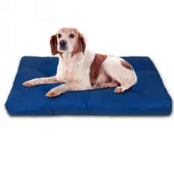 HOME MERCURY- Cama de Mascota, Colchón para Perro, Colchoneta Reversible Estampada Relleno de Espuma para Interior y Exterior. (Small, Azul)