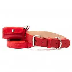 Loyal set collar rocco rojo para perros