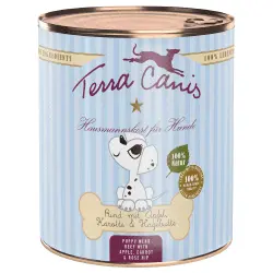 Terra Canis cachorros 6 x 800 g - Vacuno