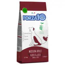 Forza 10 Mantenimiento mediano Cordero y arroz - 12,5 kg