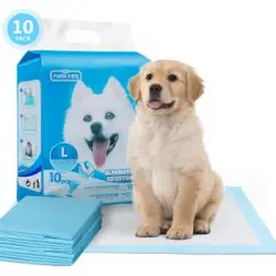 100 X Empapadores Para Perros De Mascotas 90x60cm-nobelza