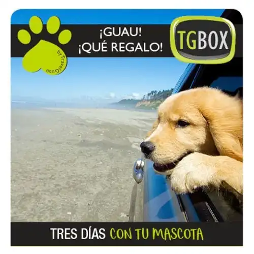 Tres días con tu mascota TGBOX