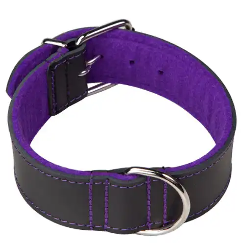 Arppe Superfelt Choppers Collar Negro con Púrpura para perros