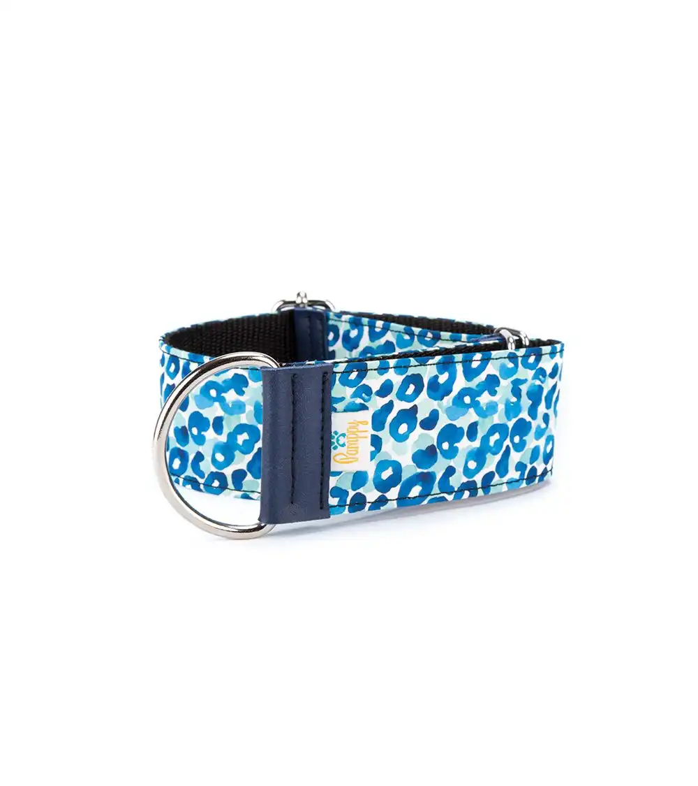 Pamppy galgo speedy collar regulable con estampado de leopardo azul para perros