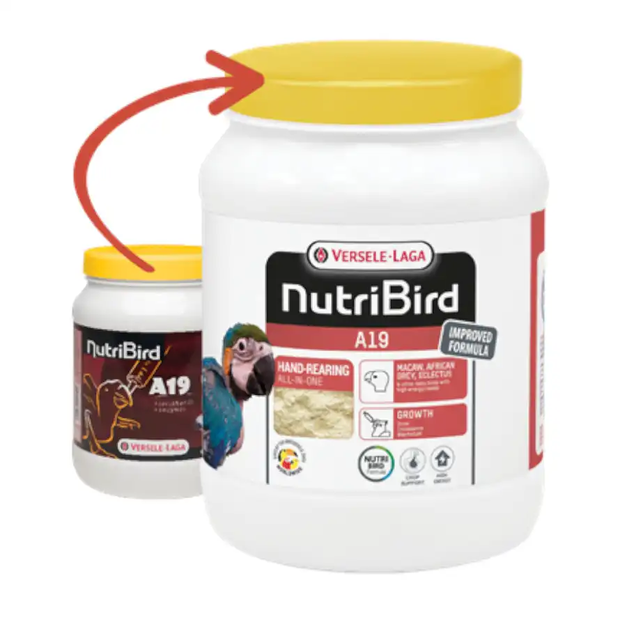 Versele-Laga NutriBird A19 Papilla para Cría de loros