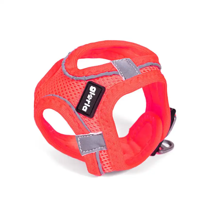 Gloria Air Mesh Trek Star Arnés Rosa para perros