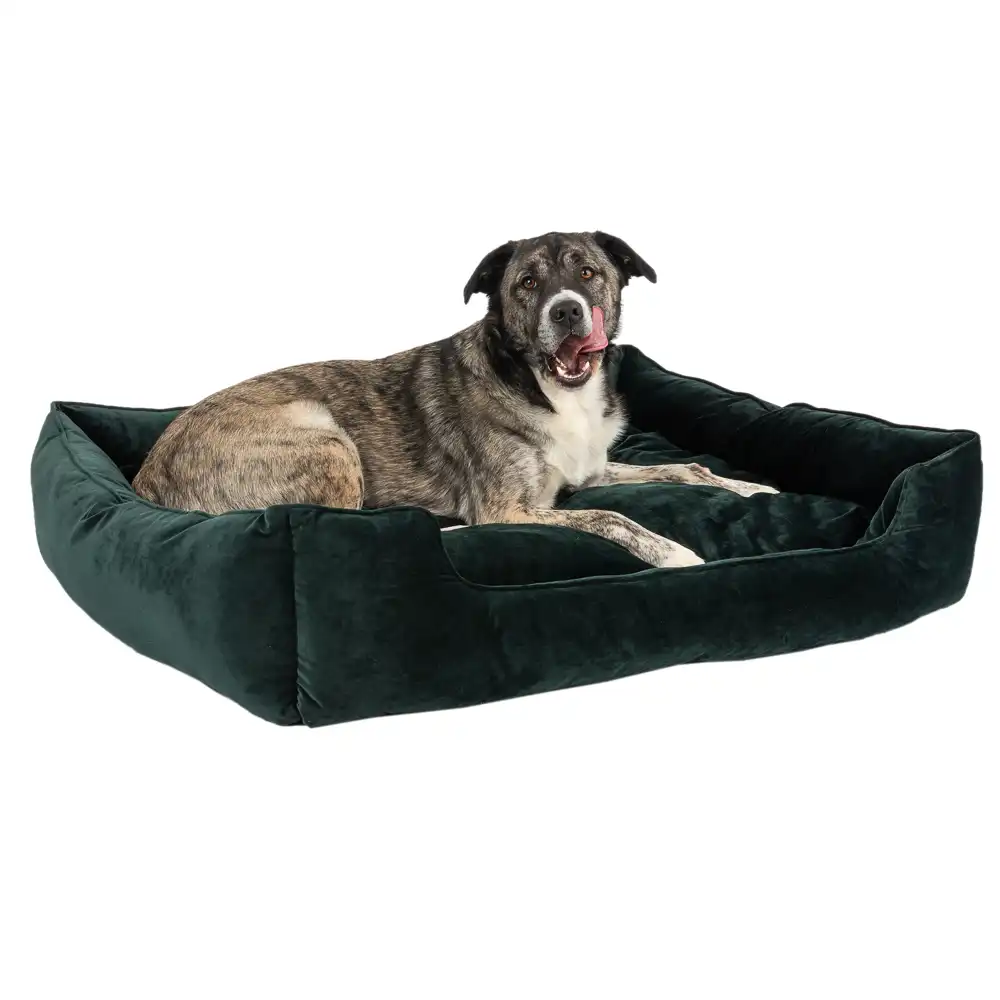 Cama Modern Living Fern para perros - 108 x 95 x 24 cm (L x An x Al)