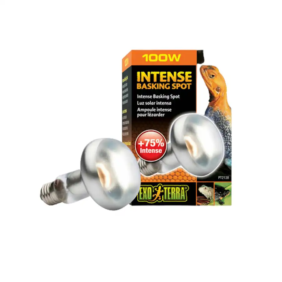 Exo Terra Bombilla de Luz Concentrada Intense Basking 100 W