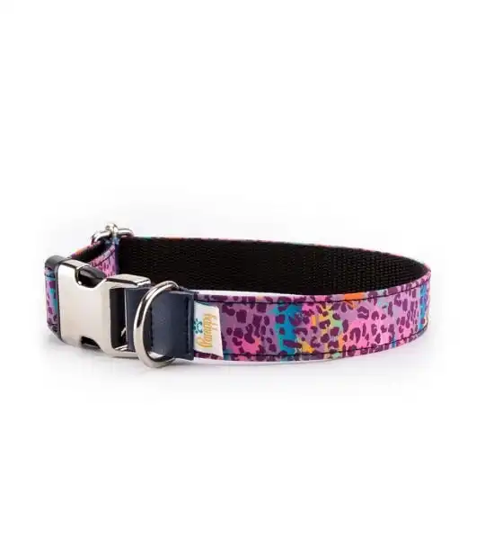 Pamppy funny collar leopardo rosa para perros