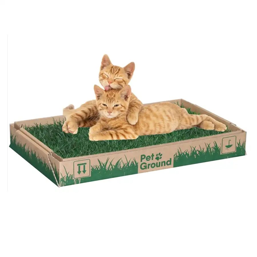 Petground césped 100% natural para gatos