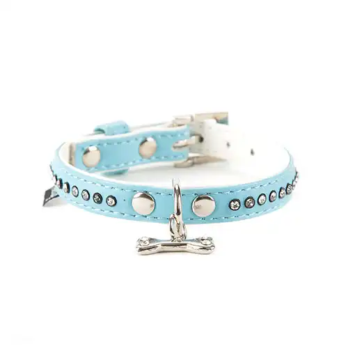 Freedog Collar con Tachuelas Azul para perros