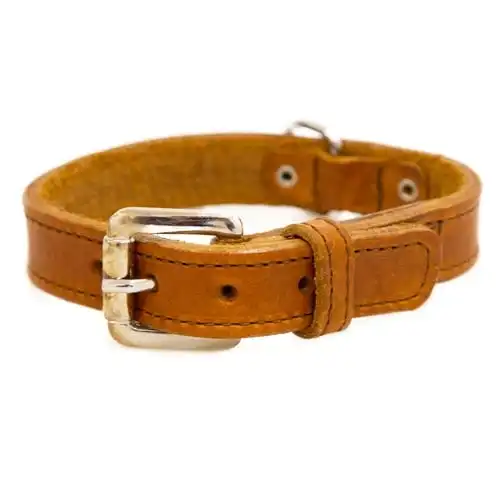 TK-Pet Namur Collar de Cuero Cognac para perros