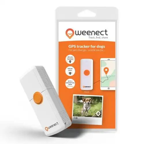 Localizador Weenect GPS Dogs² para perros