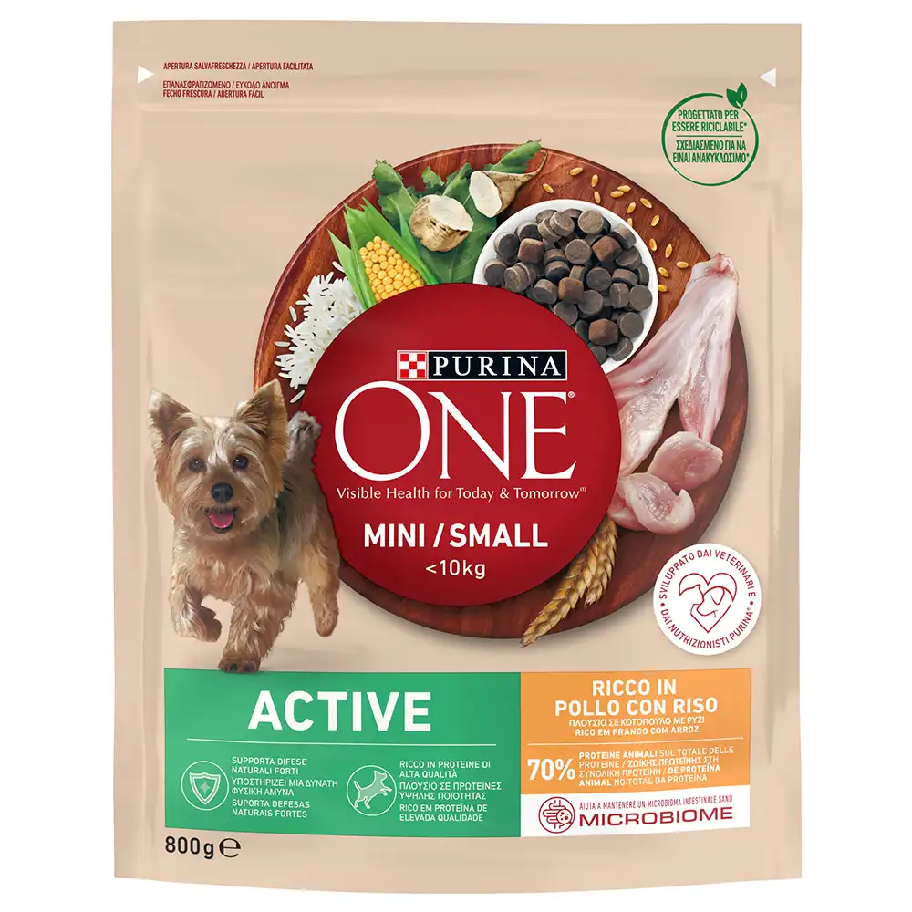 Purina One Mini Active pollo y arroz - 800 g