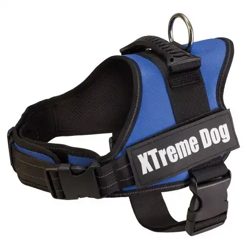 Arquivet Arnés para Perros Xtreme Dog Azul L