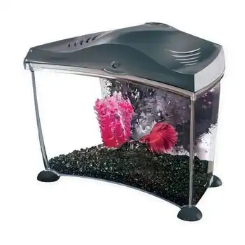 Kit De Acuario Marina Graphite Para Betta - 6.7 L