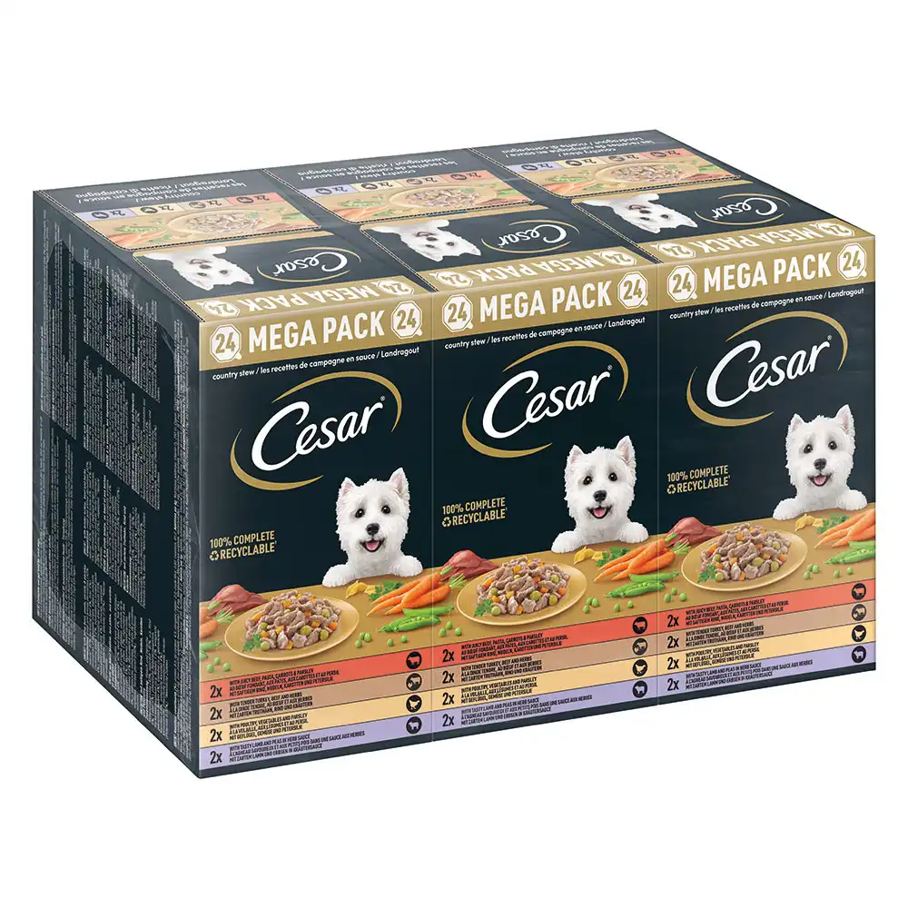 Cesar en tarrinas 24 x 150 g - Megapack - Recetas campesinas