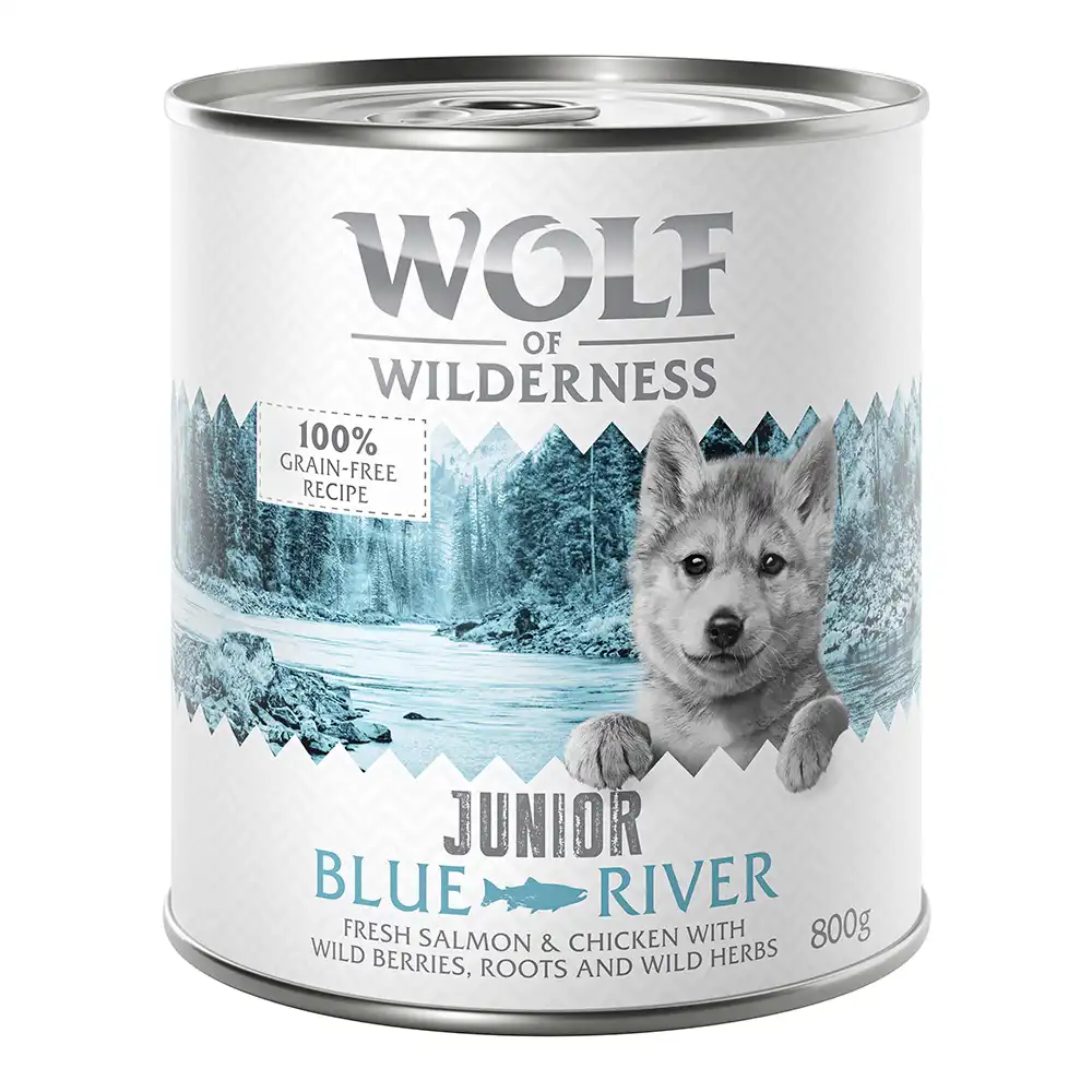 Little Wolf of Wilderness 6 x 800 g - Blue River Junior, con pollo y salmón