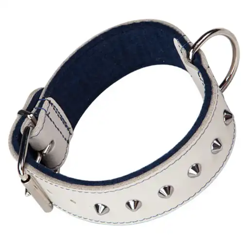 Arppe Beach Collar con Tachuelas Blanco para perros