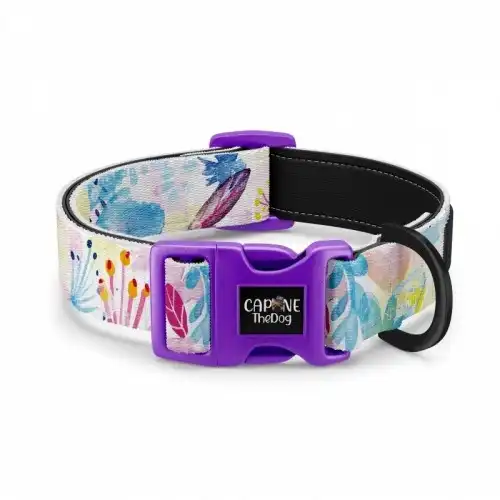 Collar regulable CaponeTheDog estampado Spring